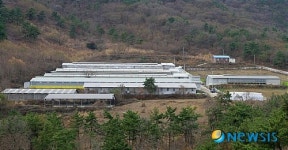 남해군, 한우혈통 번식우단지 우량 송아지 분양