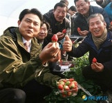 김태호 지사, 통일딸기  첫 수확