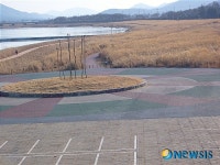 경주 서천 억새단지 불법조성