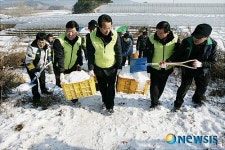 농가피해 복구작업 돕는 이재관 농협중앙회 전무 및 임직원들