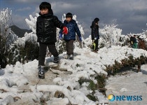눈 섶다리를 건너는 어린이들