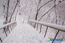 하얀세상 하얀나라 설국