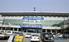 철원 물고추냉이 명품화단지 조성한다