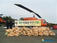포항시 북구청, 폭설로 고립된 야생조수에 ‘구호의 손길’