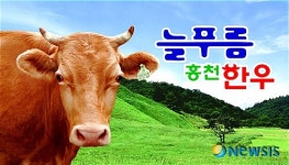 홍천, 늘푸름 홍천한우 개량사업 박차