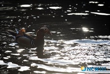 봄 햇살 쬐며 몰놀이 시작