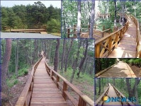 부산, 구포도서관 뒷산에 편안한 산책로