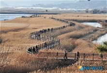 한국관광 서포터즈, 순천으로 첫발을 내딛다