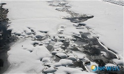 진부령 계곡의 게곡의 설경