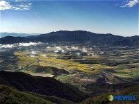 양구 펀치볼 일대 DMZ 자생식물원 조성