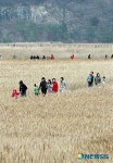순천만으로 떠난 녹색체험 기차여행