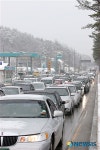주차장된 도로