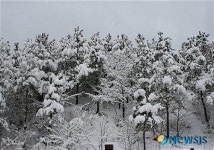 춘삼월의 아름다운 설경
