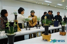 제9회 한국춘란 연합전시회 6~7일 상주서 개최