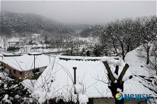 아름다운 대굴령마을