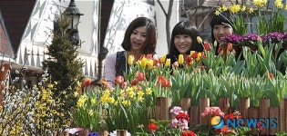 화단에 가득한 봄의 전령들