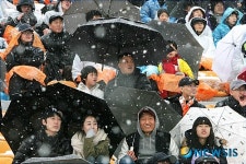 강릉시민의 축구사랑 뜨겁다!