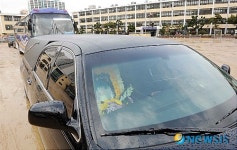 모교 돌아보는 운구차량