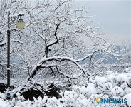 청운공원에 내린 눈