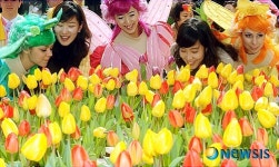 향긋한 튤립 향 맡아보세요