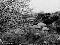 사진가 차정환의 시간여행-경북 강동면 양동리