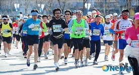 청계구간을 달리는 건각들