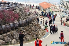 옹기와 매화의 조화