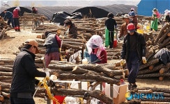 표고버섯 종균 작업중인 농민들