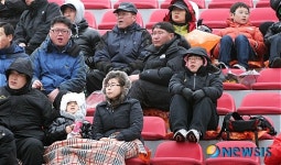 강릉시민들의 축구 열정