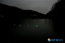 밤을 밝히는 강태공들의 낚시찌불향연