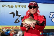 우리나라 토종붕어 예쁘지 않습니까?