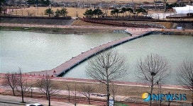 갑천 보도교 건너 보세요