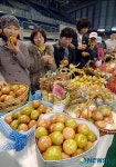 부산 대저토마토축제 3~4일 강서체육공원서
