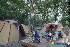 성주산휴양림, 가족단위 캠핑족에 인기