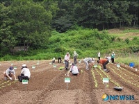 하이서울 친환경 농장
