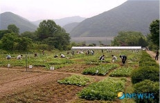하이서울 친환경 농장