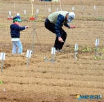 손자와 함께하는 친환경농장