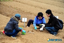 봄을 알리는 하이서울 친환경 주말농장