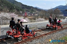 [송기자 여행사진]추억위로 달리는 레일바이크