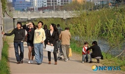 화창한 봄날의 산책