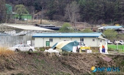 출입차단된 구제역 돼지농장