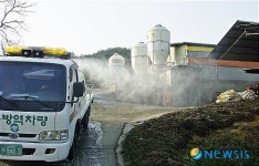 홍천군. 구제역 방역활동 총력