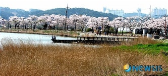 경포호수의 봄