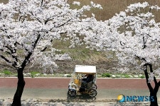 경포호수 산책로를 따라
