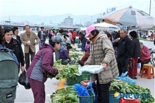 안전한 농산물 넘치는 원주 새백시장으로 오세요