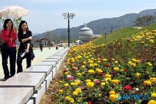 봄꽃 향기 가득한 섬진강 기차마을