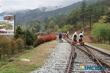 다문화가정, 곡성군 기차마을 레일바이크 체험여행