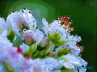 사진이 아닌 사진, Image Painting 展