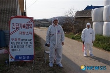 연천서, 구제역 의심소 발생...긴급가축방역