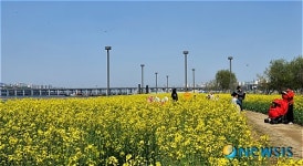 서래섬으로 오세요